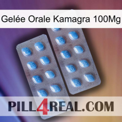 Gelée Orale Kamagra 100Mg viagra4
